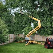 Best Arborist Consultation Services  in Indian Harbour Beach, FL